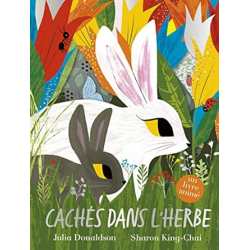 Cachés dans l'herbe : un livre animé – Album jeunesse à flaps – À partir de 4 ans - Donaldson/King-Chai