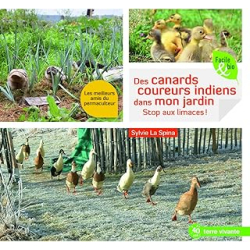 Des canards coureurs indiens dans mon jardin : Stop aux limaces ! - La Spina Sylvie