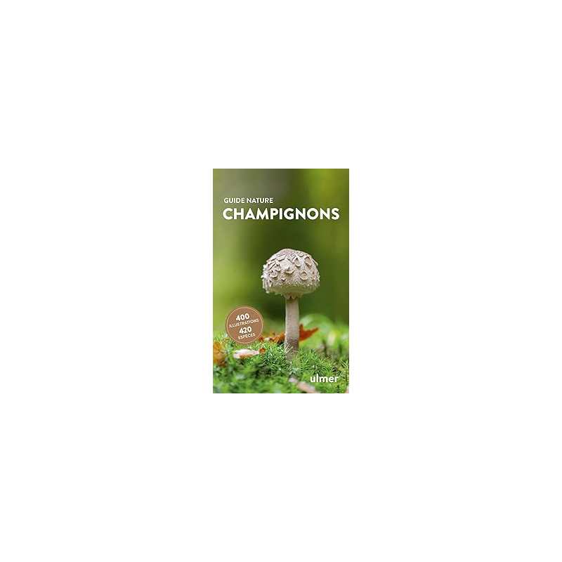 Champignons - Grunert