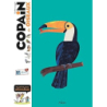 Copain des oiseaux : Le guide des jeunes ornithologues - Lesaffre/Flouw