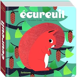 Ecureuil - Collet/Cosneau