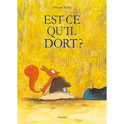 Est-ce qu'il dort ? - Tallec Olivier