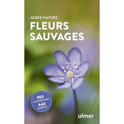 Fleurs sauvages - Kremer Bruno P.