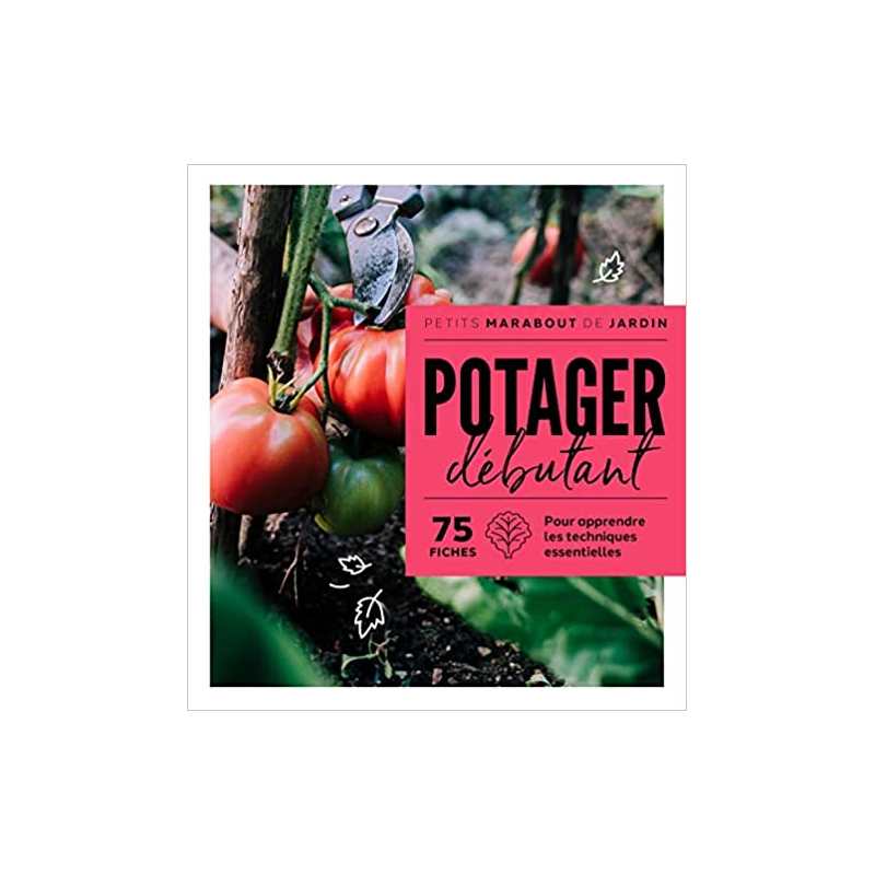 Potager débutant - Collectif