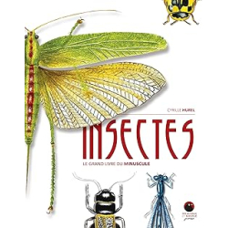 Insectes : Le grand livre du minuscule - Hurel Cyrille