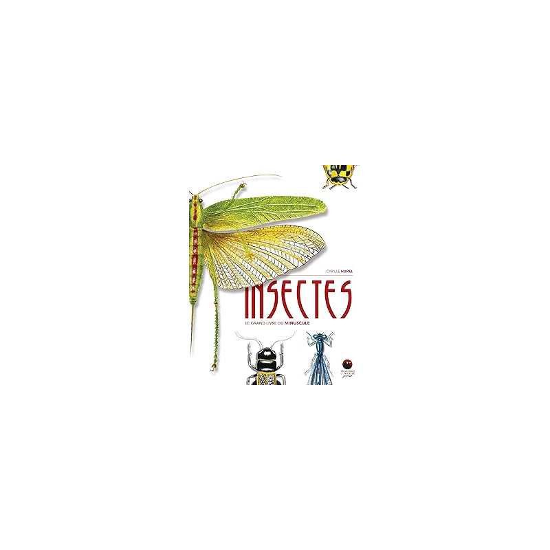 Insectes : Le grand livre du minuscule - Hurel Cyrille