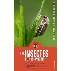 En balade - Les insectes de nos jardins - Gerstmeier Laurent