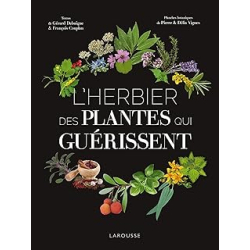 L'Herbier des plantes qui guérissent - Vignes/Debuigne