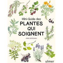 Mini-guide des plantes qui soignent - Borowski Anna