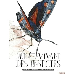 Musée vivant des insectes - Lasserre/De Angelis