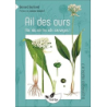 Ail des ours