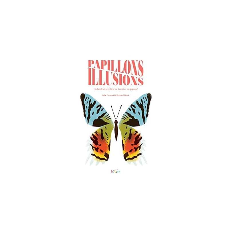 Papillons Illusions - Brouant/Duisit