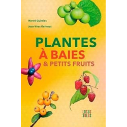 Plantes à baies & petits fruits - Guirriec Herve