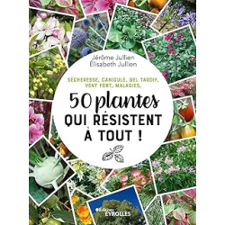 50 plantes qui résistent à tout ! Sécheresse