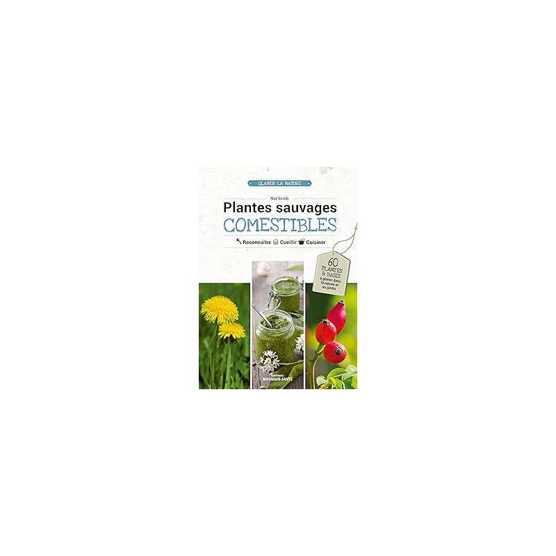 Plantes sauvages comestibles - Sinob Nat