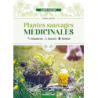 Plantes sauvages médicinales : Reconnaître