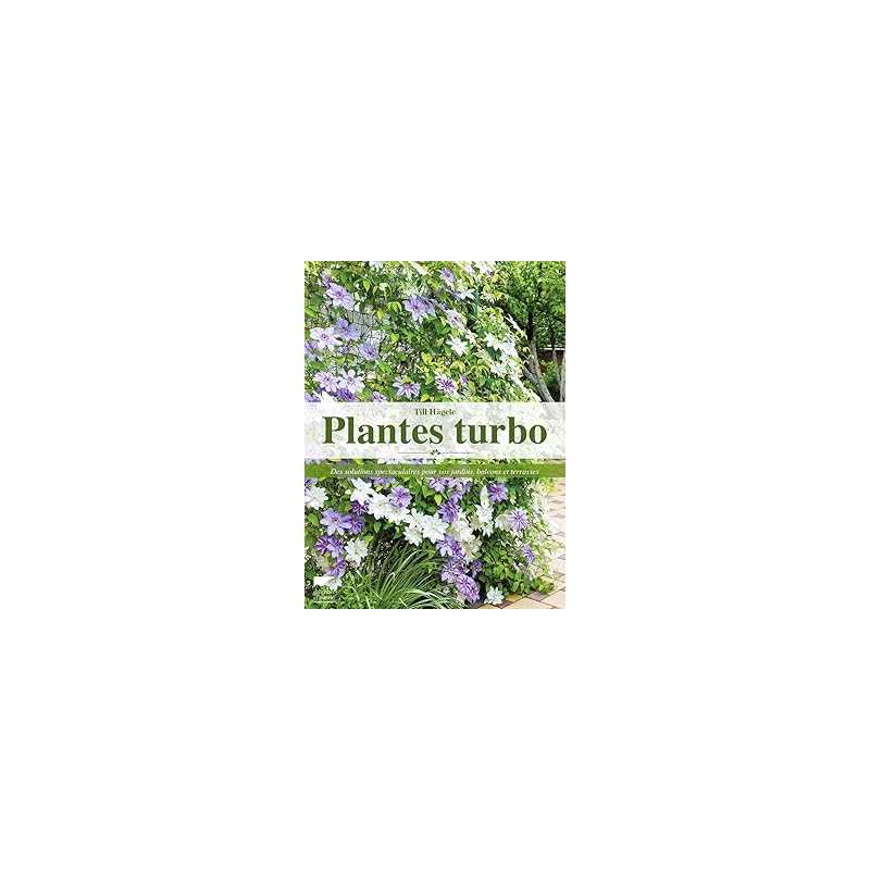 Plantes turbo : Des solutions spectaculaires pour vos jardins