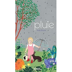 Pluie - Brunet Anais