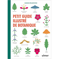 Petit guide illustré de botanique - Corinne Decarpentrie