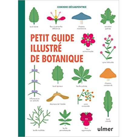 Petit guide illustré de botanique - Corinne Decarpentrie