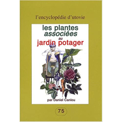 Les plantes associées au jardin potager - Daniel Caniou