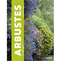 Arbustes - Didier Willery