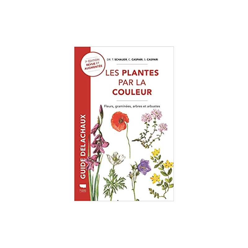 Plantes par la couleur: Fleurs