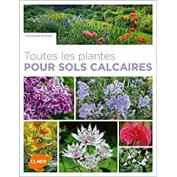 Toutes les plantes pour sols calcaires - Dominique Brochet