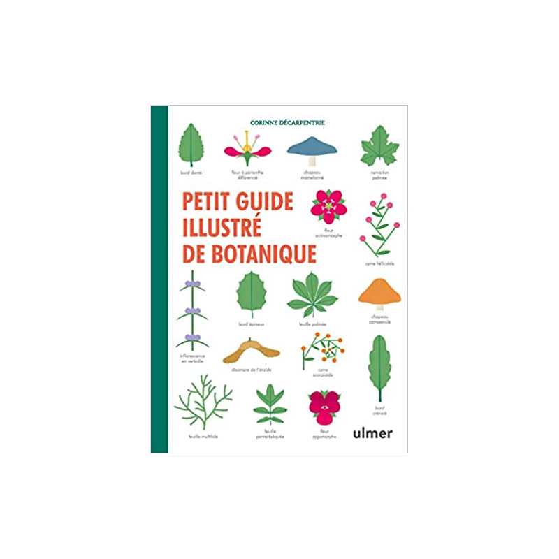 Petit guide illustré de botanique - Corinne Decarpentrie