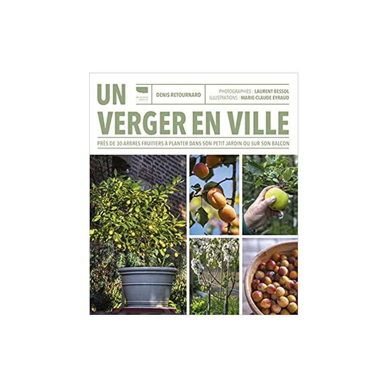 Un verger en ville. Près de 30 arbres fruitiers à planter dans son petit jardin ou sur son balcon - Denis Retournard