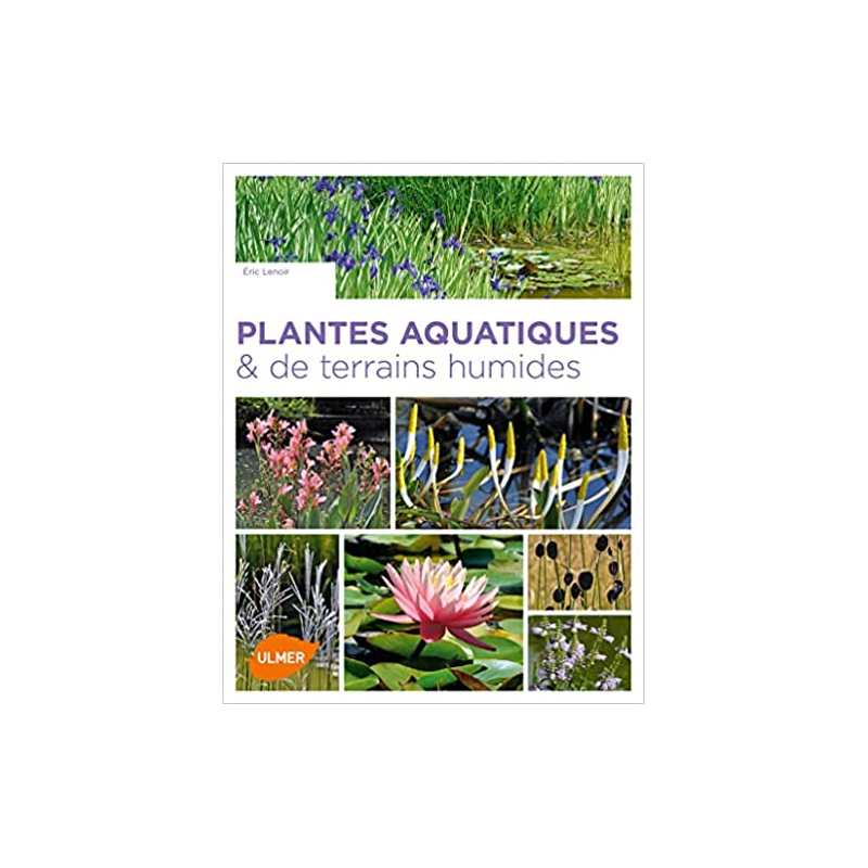 Plantes aquatiques & de terrains humides - Eric Lenoir