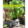 Un coin potager bio - Débuter simplement - Fanny Dupré