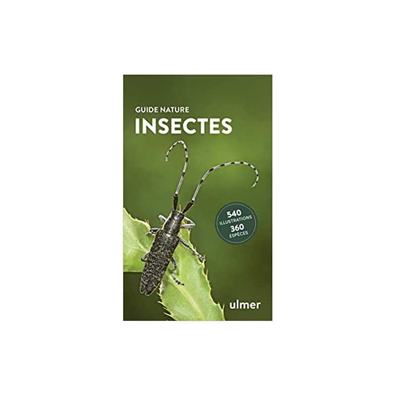 Insectes - Heiko Bellmann