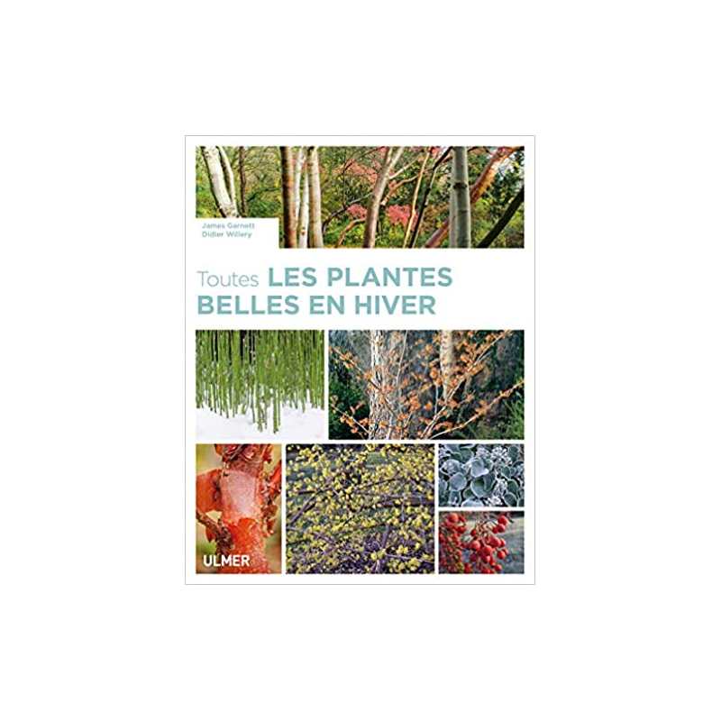 Toutes les plantes belles en hiver - James Garnett