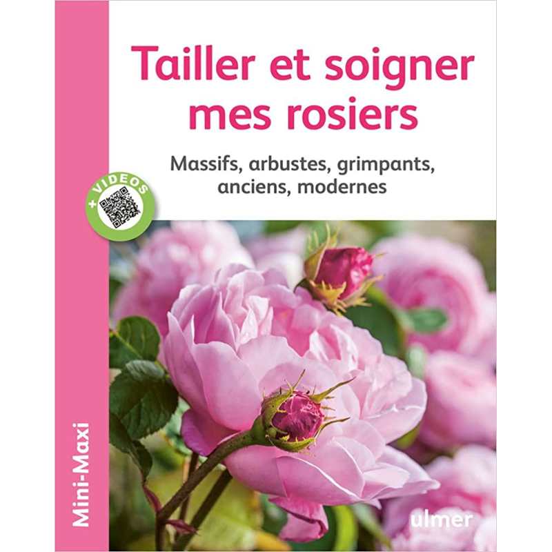 Tailler et soigner mes rosiers. Massifs