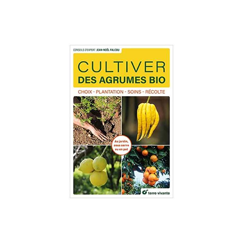 Cultiver des agrumes bio: Choix - Plantation - Soins - Récolte - Jean-Noël Falcou