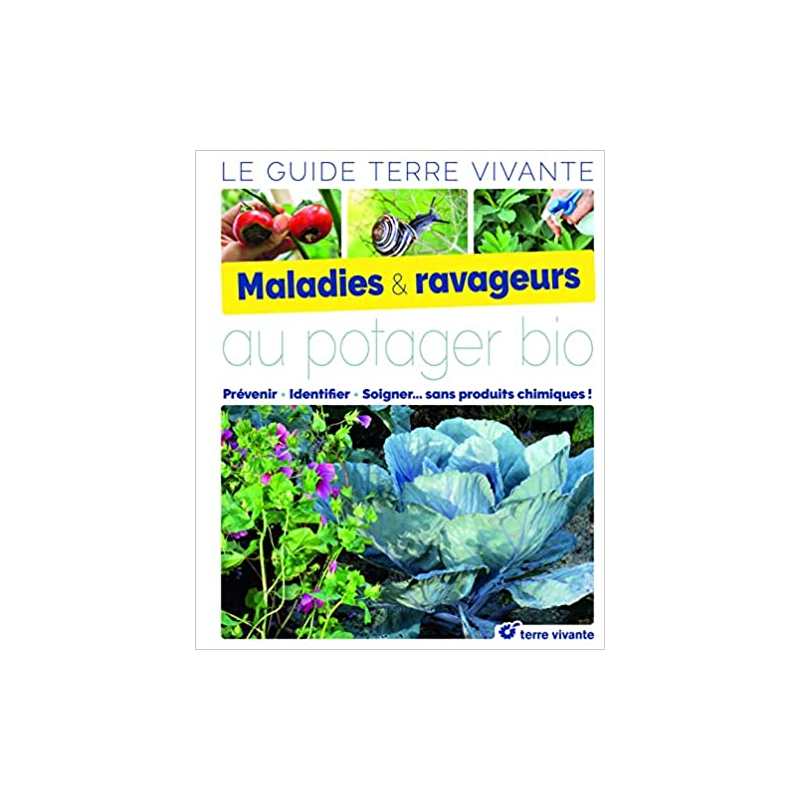 Le guide des maladies et ravageurs au potager bio : prévenir