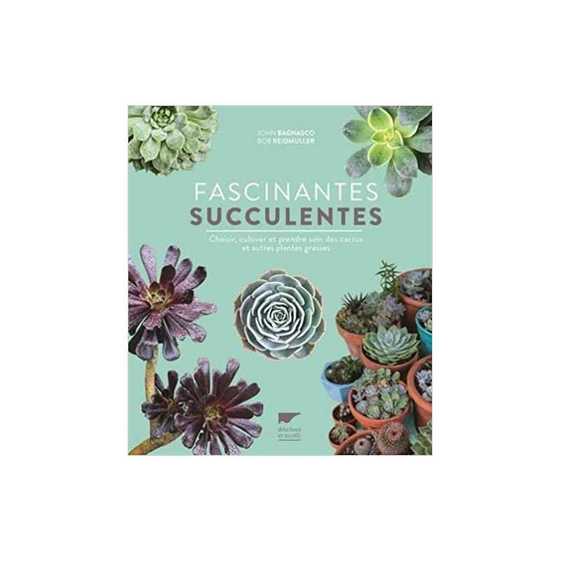 Fascinantes succulentes: Choisir