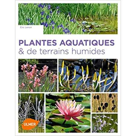 Plantes aquatiques & de terrains humides - Éric Lenoir