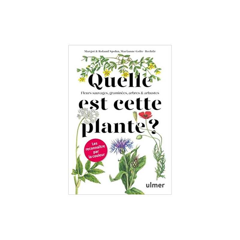 Quelle est cette plante ? - Margot Spohn