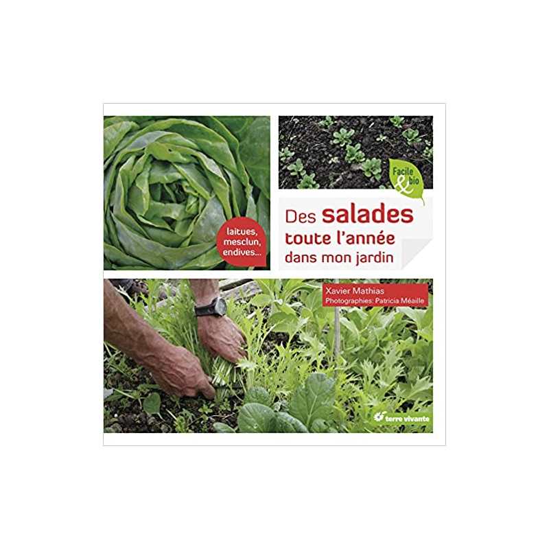 Des salades toute l'année dans mon jardin: Laitues