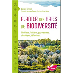 Planter des haies de biodiversité - Mellifères