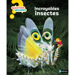 Incroyables insectes - Amanda O'Neill / Marc Duquet