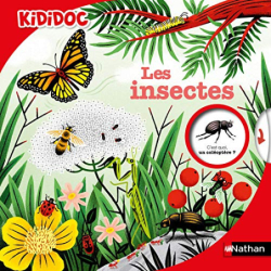 Les Insectes - Kididoc - Muriel Zürcher / Stéphane Hurtez / Sylvie Bessard