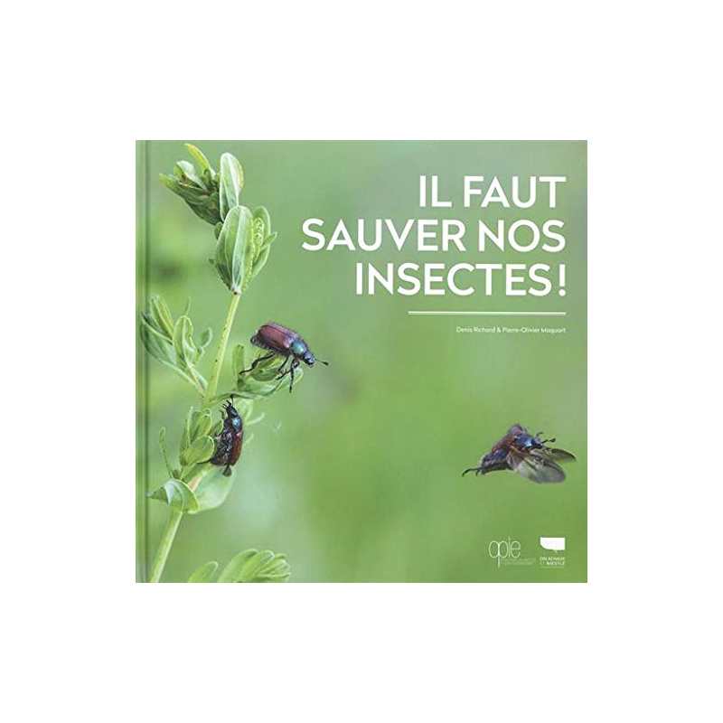 Il faut sauver nos insectes - Denis Richard / Pierre-Olivier Maquart